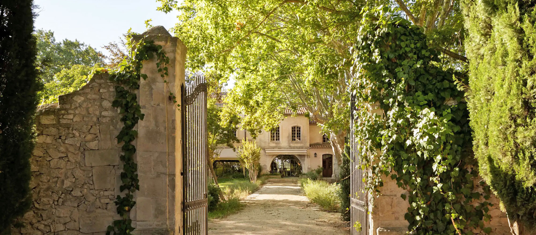 Tree overhanging a gateway into a Villa